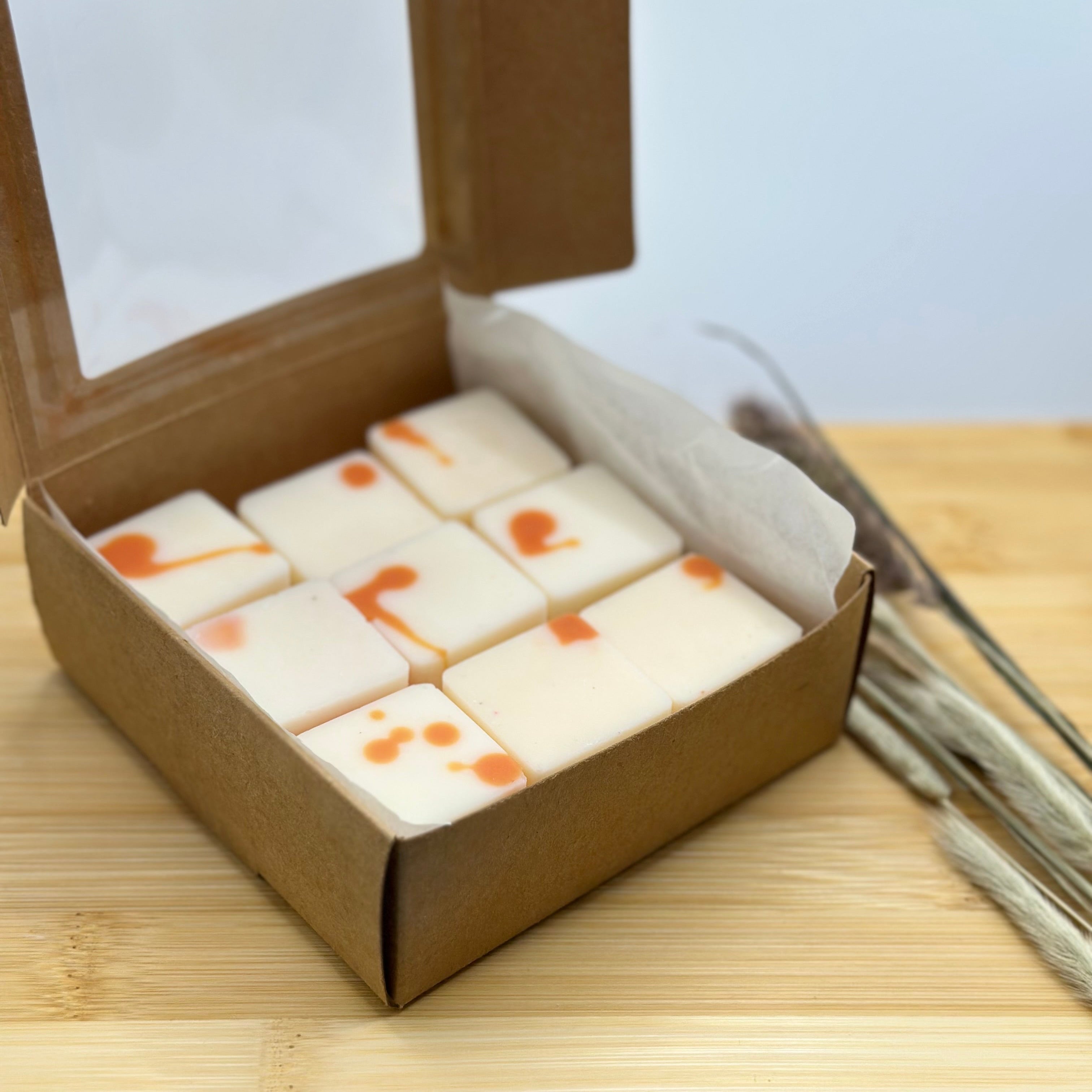 Pure Melts Fruity Passion wax melts in doosje – handgemaakte koolzaadwas geurblokjes met warme amber en perzik geur